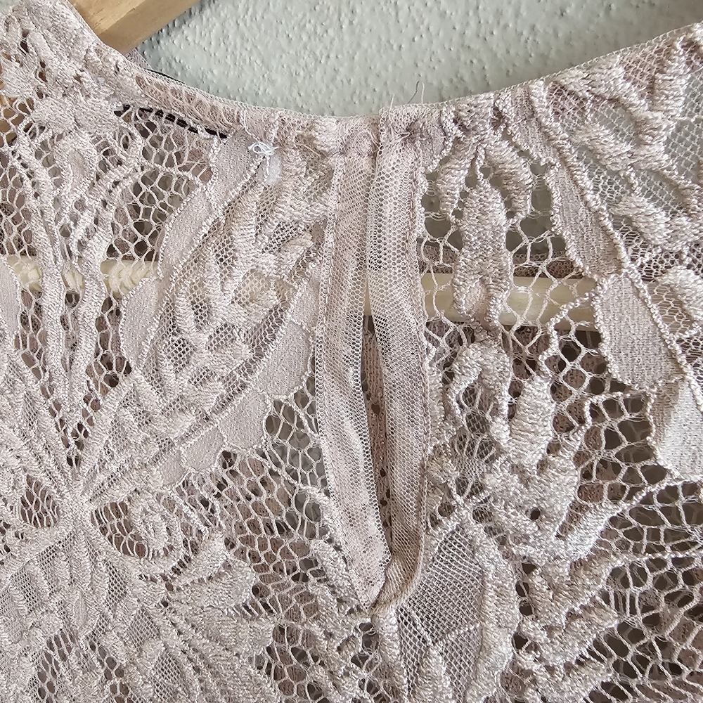 ☆ ZARA Short Sleeve Baby Pink Sheer Lace Top, S ☆ - Picture 3 of 7